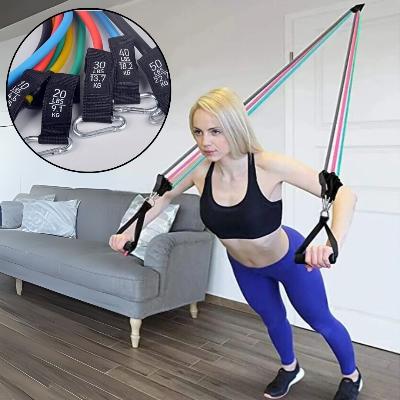 elastiques-musculation-resistants-pour-un-entrainement-efficace